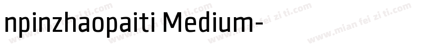npinzhaopaiti Medium字体转换